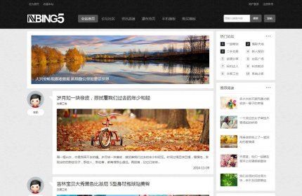 Discuz模板 NVBING5-轻门户!商业版1.1(GBK+UTF8)