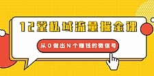 12堂私域流量掘金课:从0做出N个赚钱的微信号【完结】
