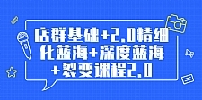 孤狼电商店群全套教程:店群基础+2.0精细化蓝海+深度蓝海+裂变课程2.0