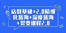 孤狼电商店群全套教程：店群基础+2.0精细化蓝海+深度蓝海+裂变课程2.0