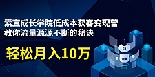 素宣成长学院低成本获客变现营,教你流量源源不断的秘诀,轻松月入10万