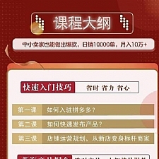 拼多多爆款实战攻略：中小卖家也能做出爆款，日销10000单 月入10w+