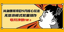 闲鱼赚钱项目核心玩法,无货源模式批量操作,每月净赚1W+(共2节视频)