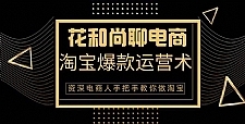 天猫淘宝爆款运营实操技术系列课:资深电商人手把手教你做淘宝(无水印)