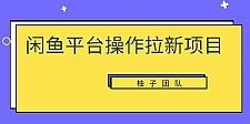 柚子团队《闲鱼平台操作拉新项目》单笔起步利润100+