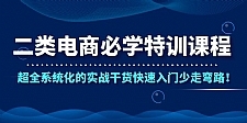 二类电商必学特训课程,超全系统化的实战干货快速入门少走弯路!