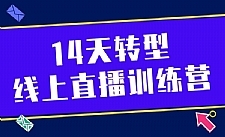 14天转型线上直播训练营