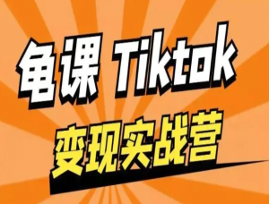 龟课TikTok变现实战训练营线上第3期，轻松月入10000+