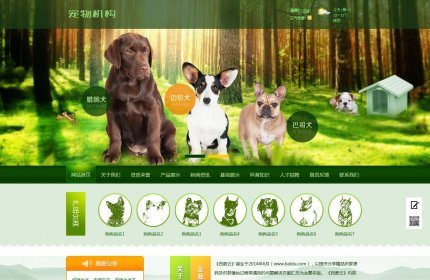 宠物行业网站织梦模板(带手机端)