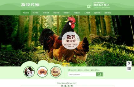 家禽畜牧养殖农业网站织梦模板(带手机端)