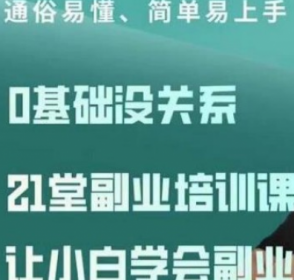 张磊21堂副业培训课：让小白学会副业赚钱，通俗易懂简单易上手