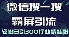 2022微信搜一搜霸屏引流课，打造被动精准引流系统，轻松日引300行业精准粉