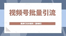 2022视频号批量引流，霸屏行业关键词（基础班）全面系统讲解视频号玩法