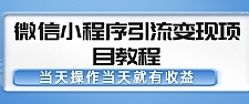 微信抖音快手程序引流变现项目教程 当天操作当天就有收益，变现不再是难事