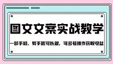 抖音图文文案实战教学 一部手机，有手就可以做，可多号操作获取收益