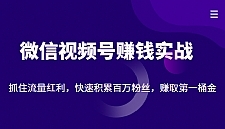 微信视频号赚钱实战：抓住流量红利，快速积累百万粉丝，赚取你的第一桶金