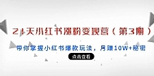 21天小红书涨粉变现营（第3期）：带你掌握小红书爆款玩法，月赚10W+秘密