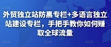 外贸独立站防黑专栏+多语言独立站建设专栏，手把手教你如何赚取全球流量