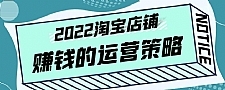 震宇老师·2022年淘宝店铺赚钱的运营策