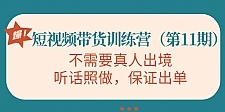 视频带货训练营,不需要真人出境,听话照做,保证出单(第11期)