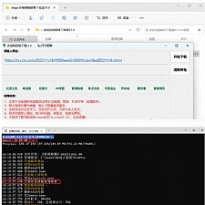 央视视频超级下载工具V1.0央视视频所