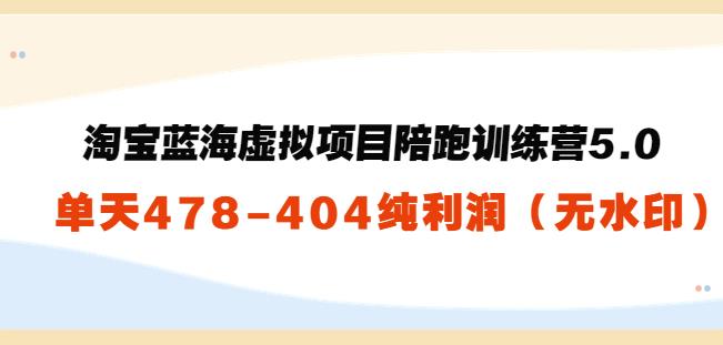 淘宝蓝海虚拟项目陪跑训练营5.0：单天478纯利润（无水印）