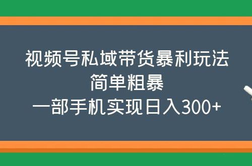 视频号私域带货暴利玩法，简单粗暴，一部手机实现日入300+