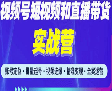 2023最新微信视频号引流和变现全套运营实战课程，小白也能玩转视频号短视频和直播运营